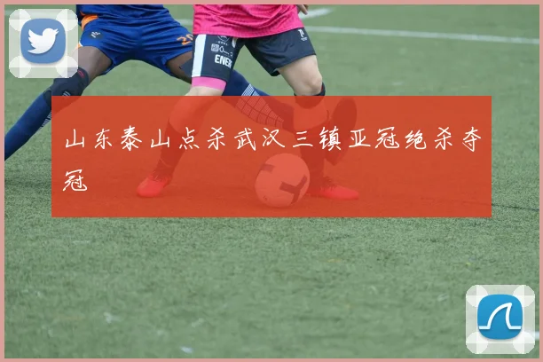 山东泰山点杀武汉三镇亚冠绝杀夺冠