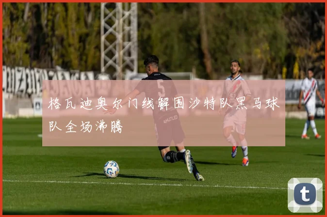 格瓦迪奥尔门线解围沙特队黑马球队全场沸腾