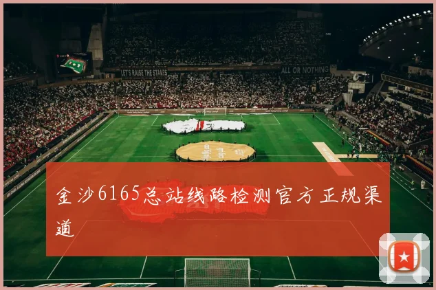 金沙6165总站线路检测官方正规渠道