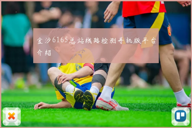 金沙6165总站线路检测手机版平台介绍