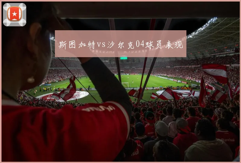 斯图加特vs沙尔克04球员表现